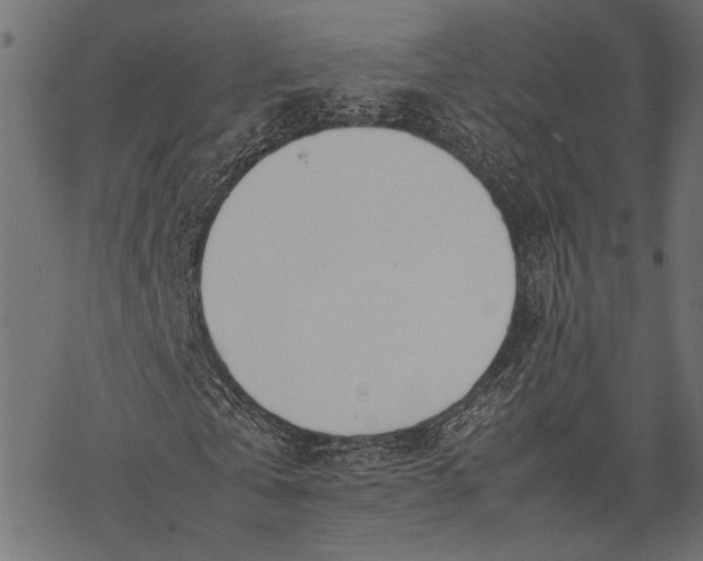 X0000077280769200611031524