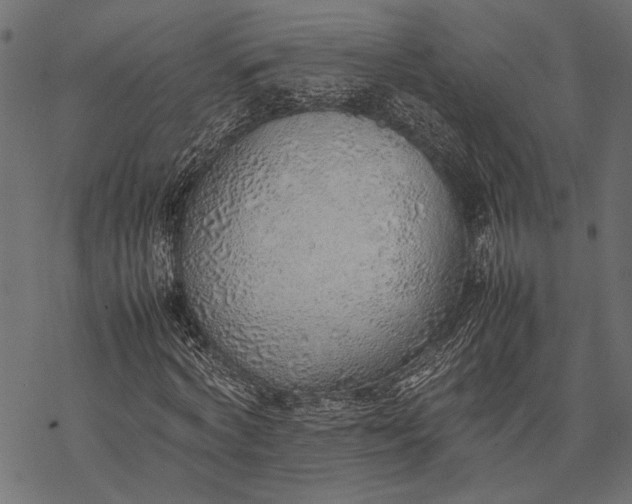 X0000077280772200611031524