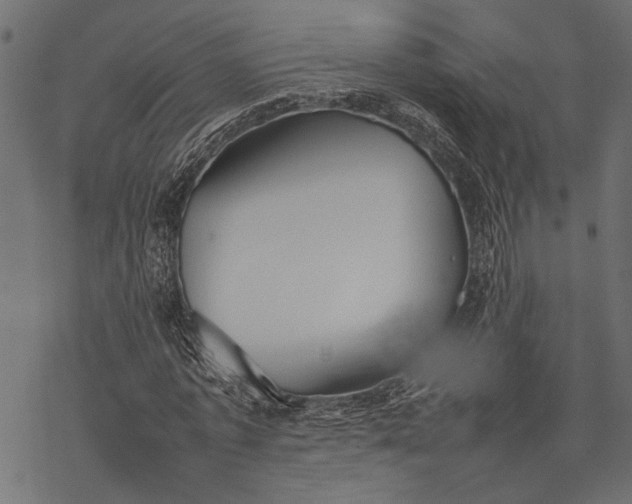 X0000077280773200611031524