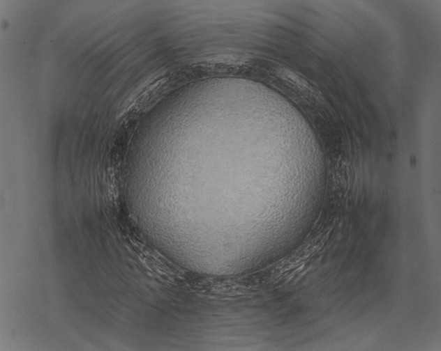 X0000077280774200611031524