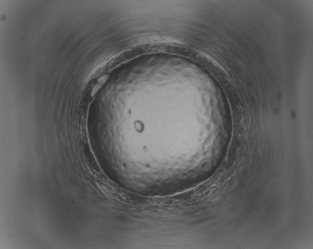 X0000077280775200611031524