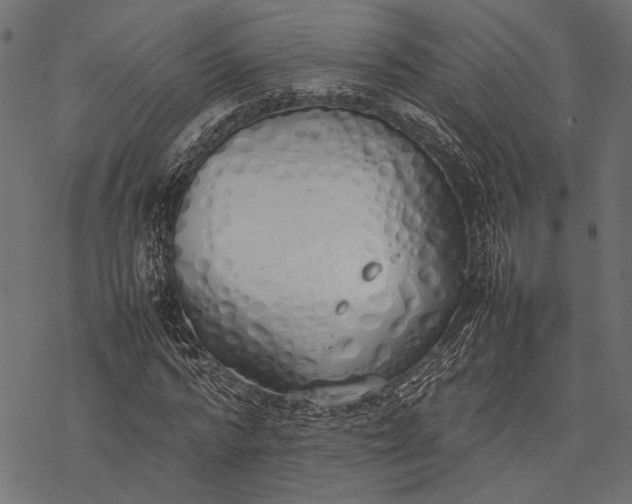 X0000077280776200611031524