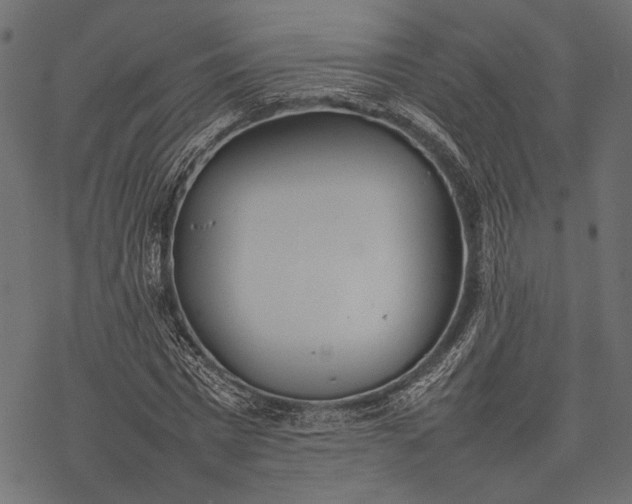 X0000077280777200611031524