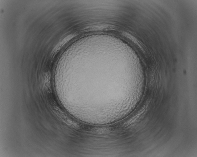 X0000077280778200611031524