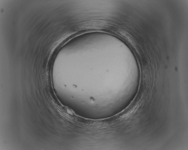 X0000077280779200611031524