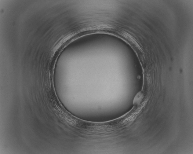 X0000077280781200611031524