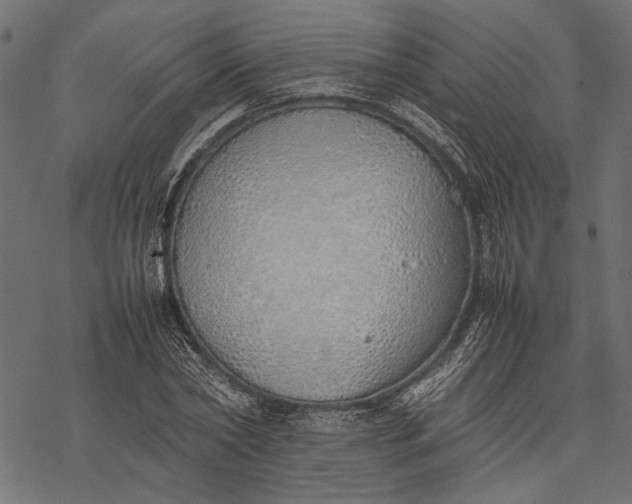 X0000077280782200611031524