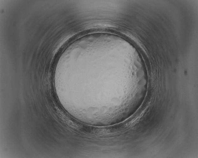 X0000077280783200611031524