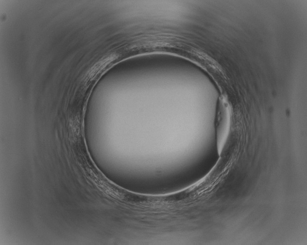 X0000077280785200611031524