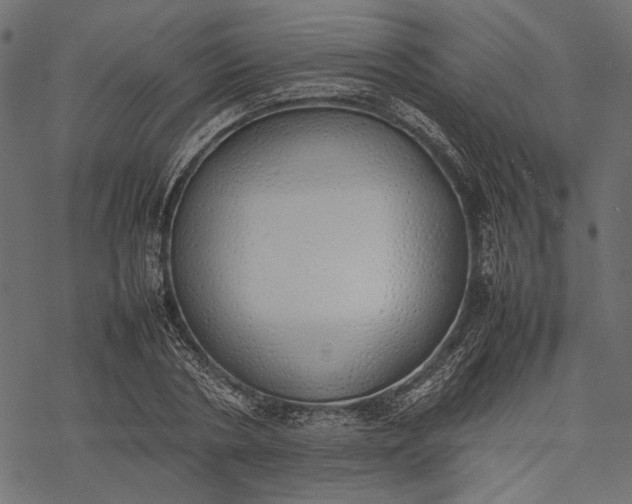 X0000077280786200611031524