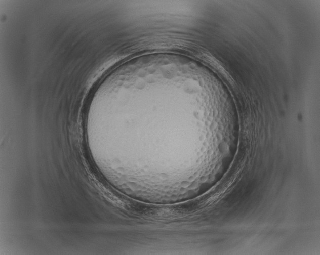 X0000077280787200611031524