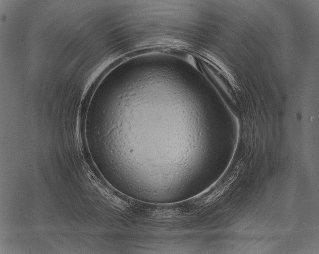 X0000077280788200611031524