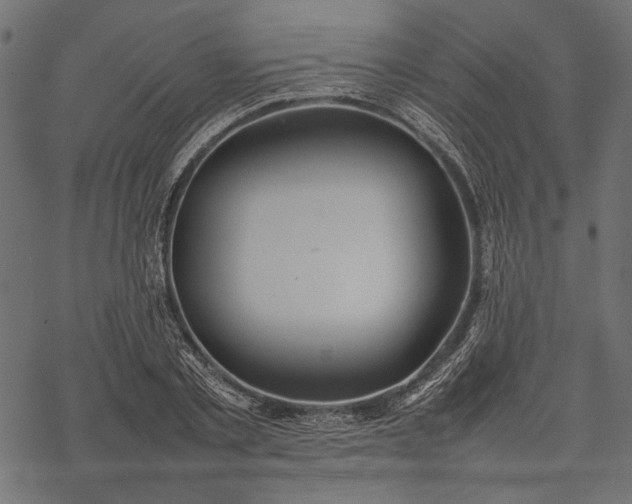 X0000077280789200611031524