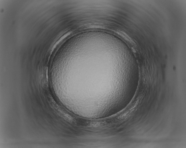 X0000077280790200611031524