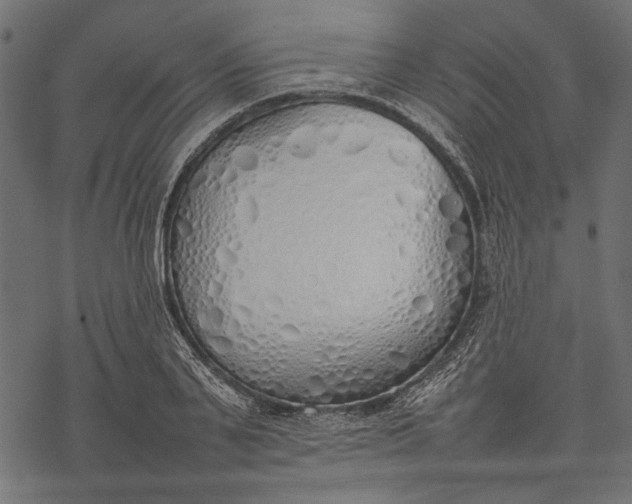 X0000077280791200611031524