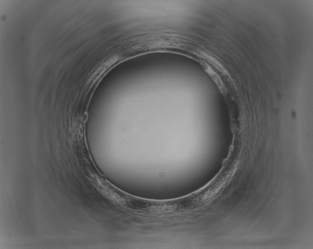 X0000077280793200611031524