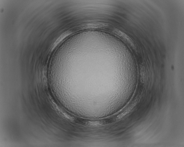 X0000077280794200611031524