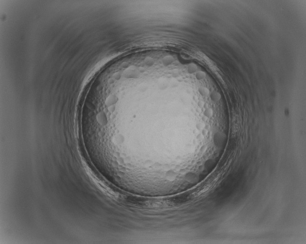 X0000077280795200611031524