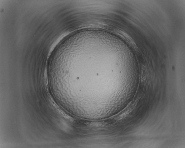 X0000077280796200611031524