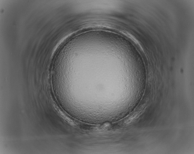 X0000077280799200611031524