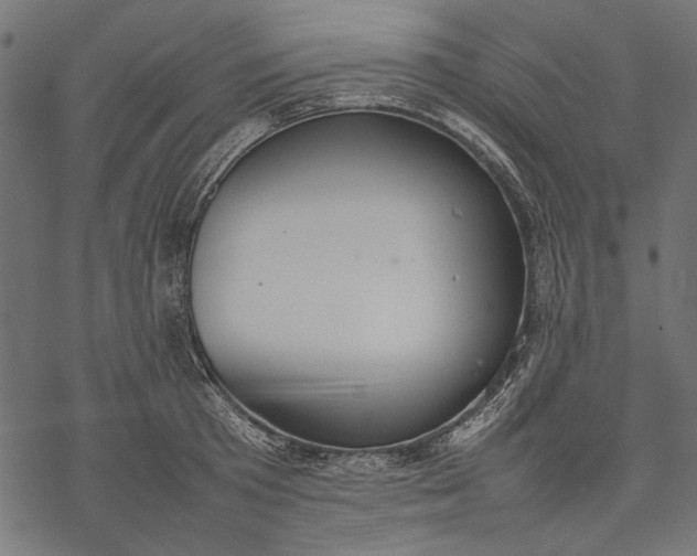 X0000077280801200611031524