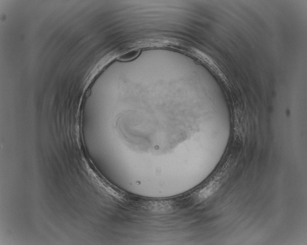 X0000077280802200611031524