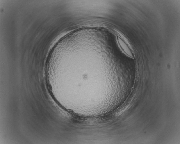 X0000077280803200611031524