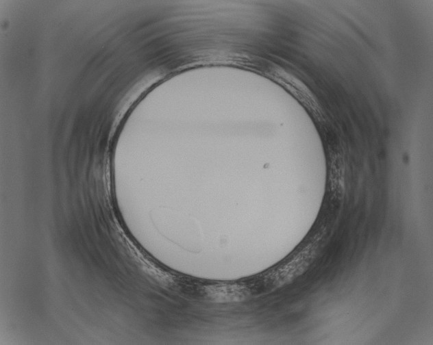 X0000077280804200611031524