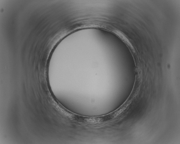 X0000077280805200611031524