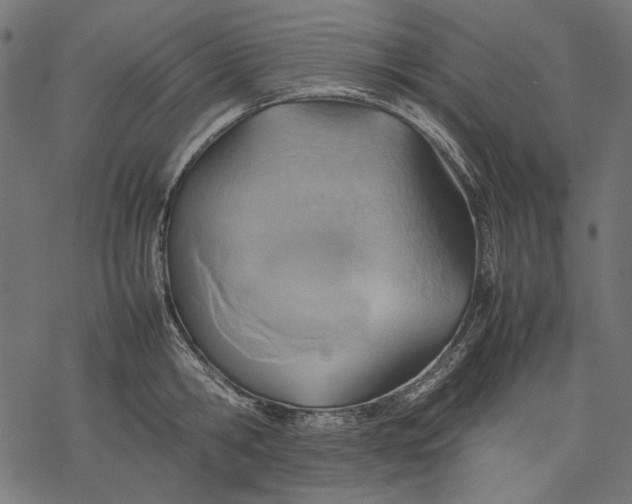 X0000077280806200611031524