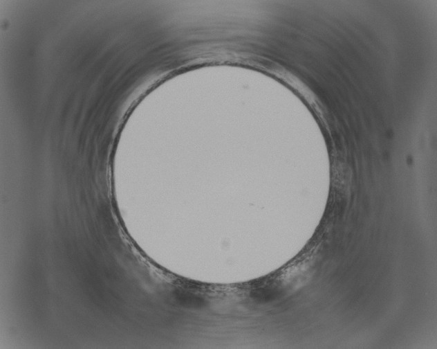 X0000077280807200611031524