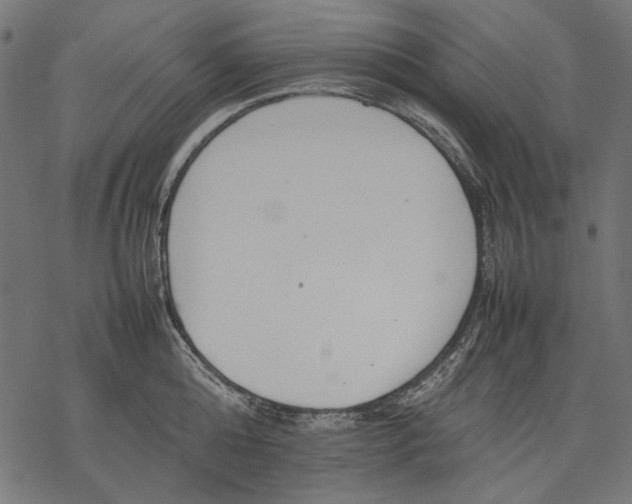 X0000077280808200611031524