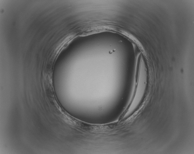 X0000077280809200611031524