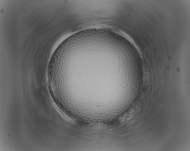 X0000077280811200611031524