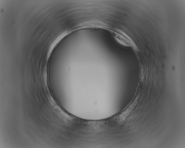 X0000077280812200611031524