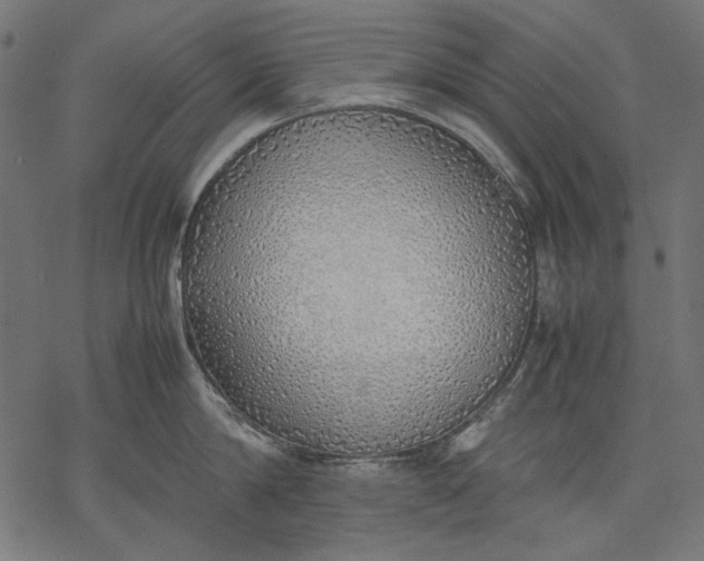 X0000077280814200611031524