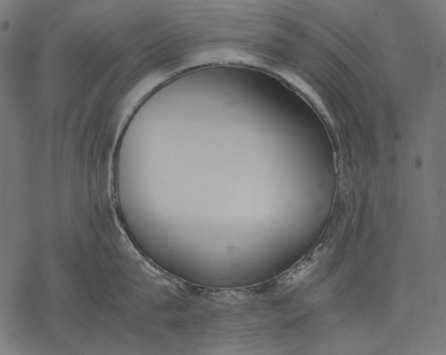 X0000077280815200611031524