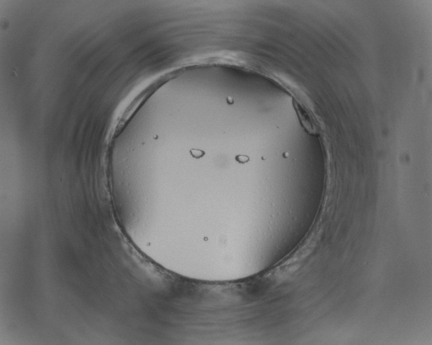 X0000077280816200611031524