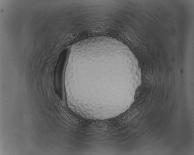 X0000077280817200611031523