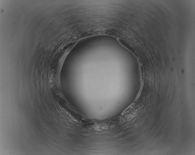 X0000077280818200611031523