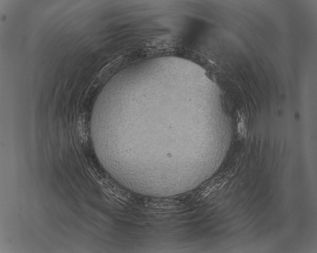 X0000077280819200611031523