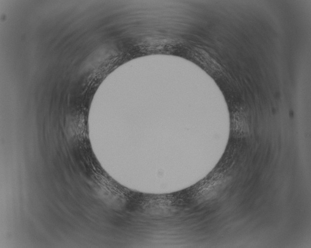 X0000077280820200611031523