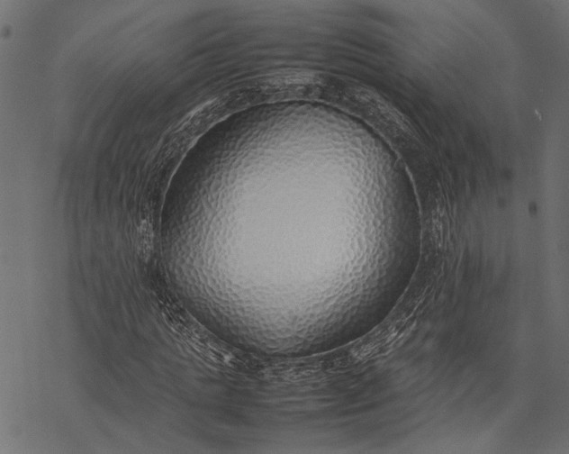 X0000077280821200611031523