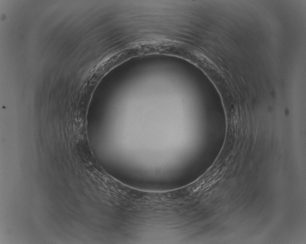 X0000077280822200611031523