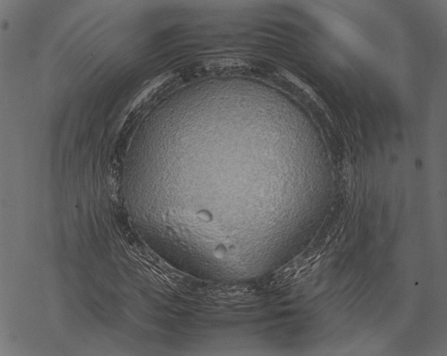 X0000077280823200611031523