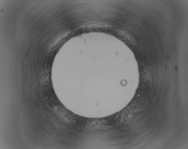 X0000077280824200611031523