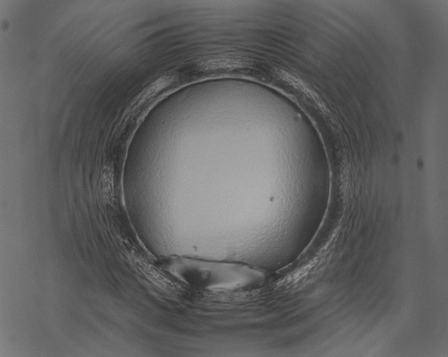 X0000077280825200611031523