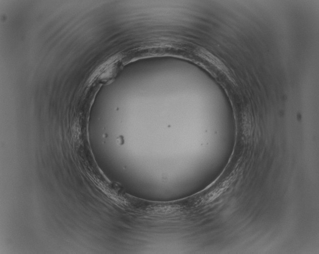 X0000077280826200611031523