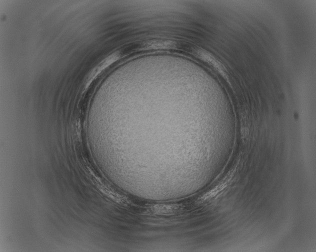 X0000077280827200611031523