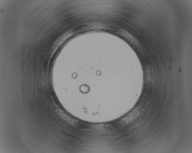 X0000077280828200611031523